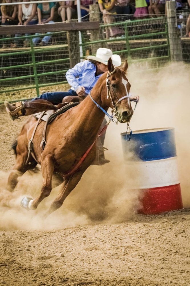 Barrel Racer.jpg